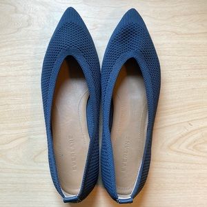 Navy Everlane Day Glove Pointed Toe Flats (nylon) size 6.5